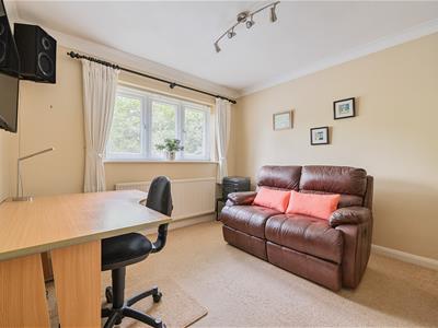 Picture 20